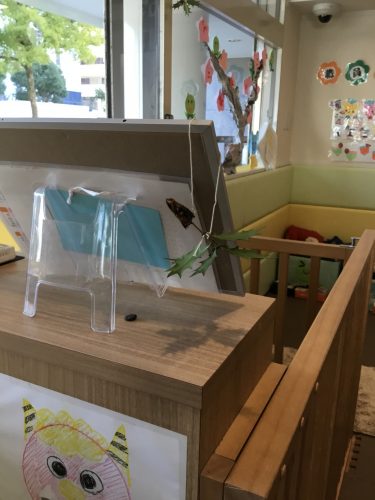 鬼退治をしたよ