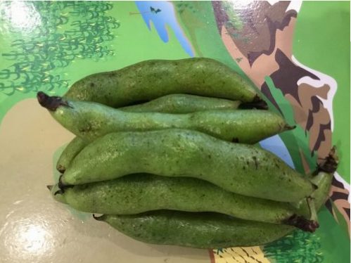 フワフワのベッド気持ちいいね！