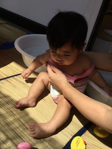 新しいお友だちが増えました！！