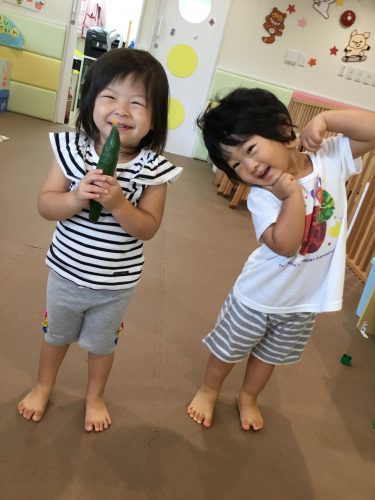 野菜を収穫しました！（みんなで野菜を育てたよ！）