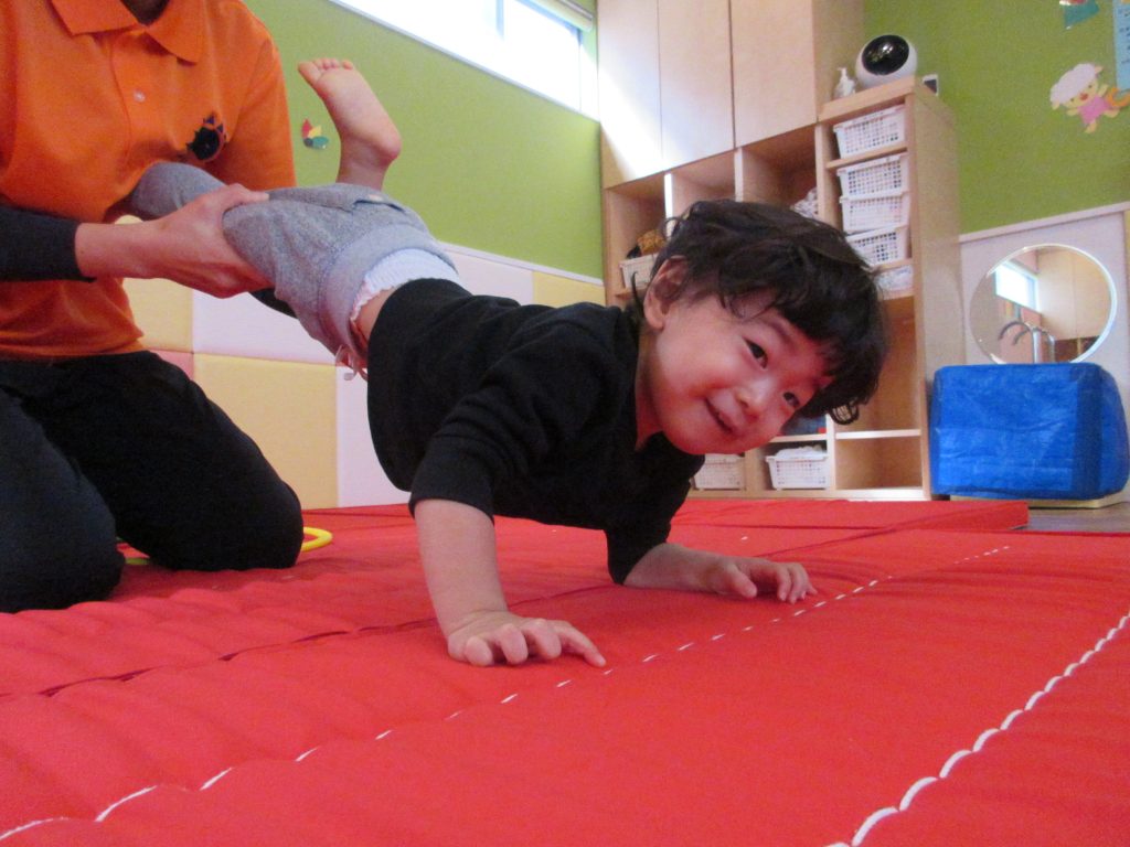 体操カリキュラム