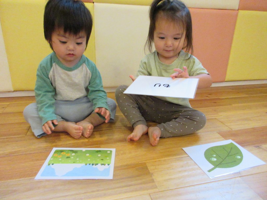 フラッシュカード