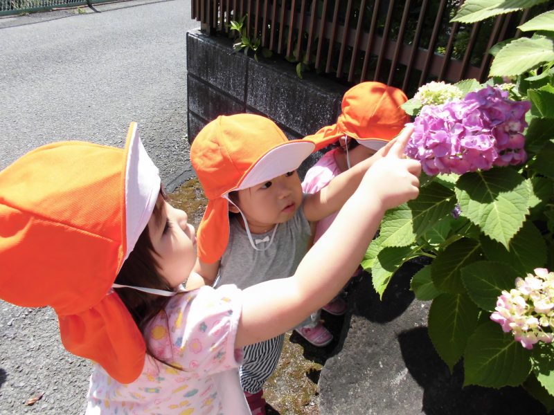 【小規模保育園：小田原園】本日のお散歩とおやつ♪