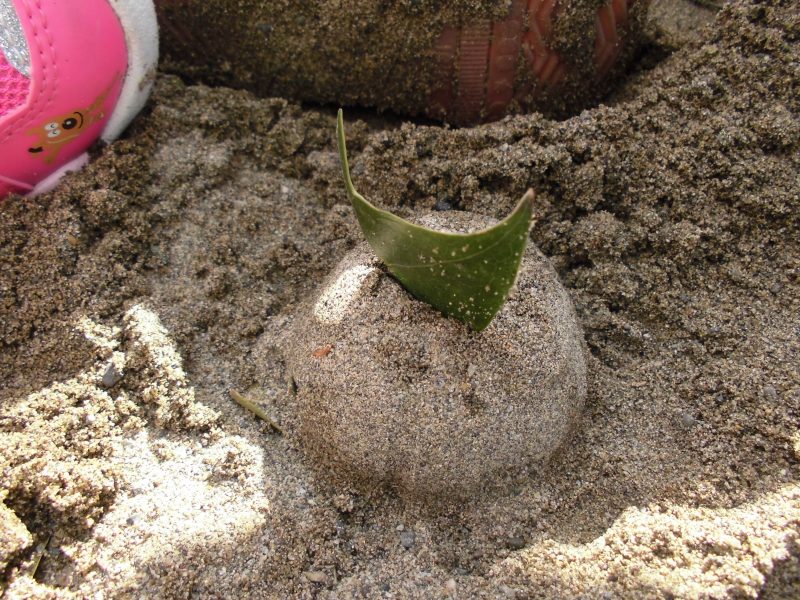 【小規模保育園・小田原園】1月誕生会?&?豆まき会?