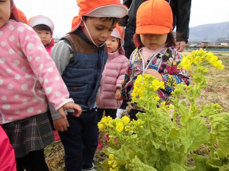 【小規模保育園・小田原園】午睡時間には、、、(-_-)zzz