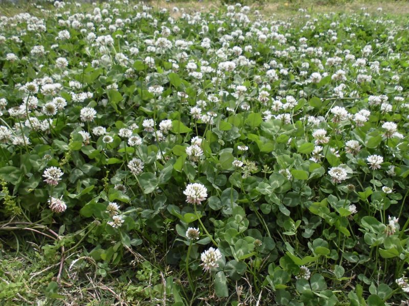 【小規模保育園・小田原園】長いお休みの後は…(*^-^*)　