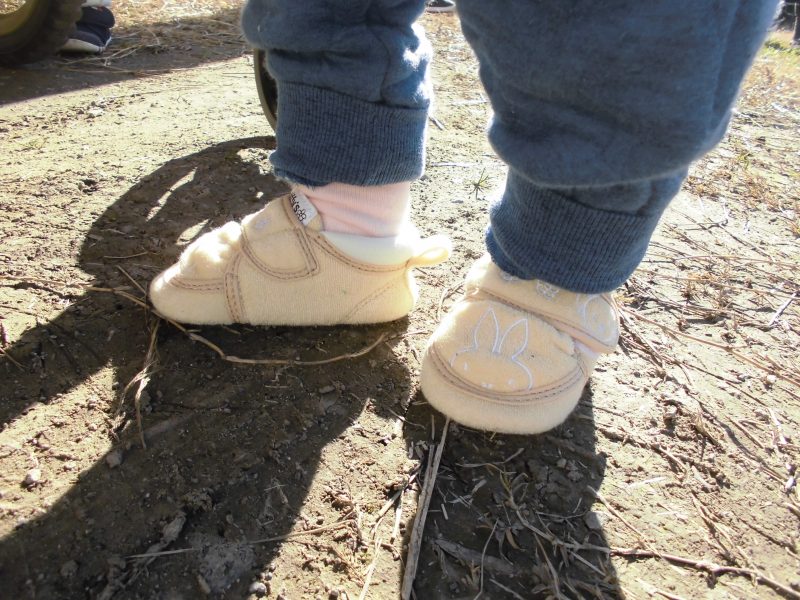 【小規模保育園：小田原園】活動初めは・・・✨✨