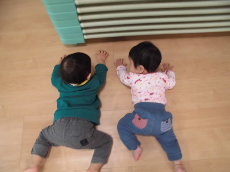 【小規模保育園：小田原園】今週の小田原園は・・・(?_?)