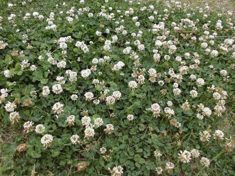【小規模保育園：小田原園】室内遊びの様子(^O^)