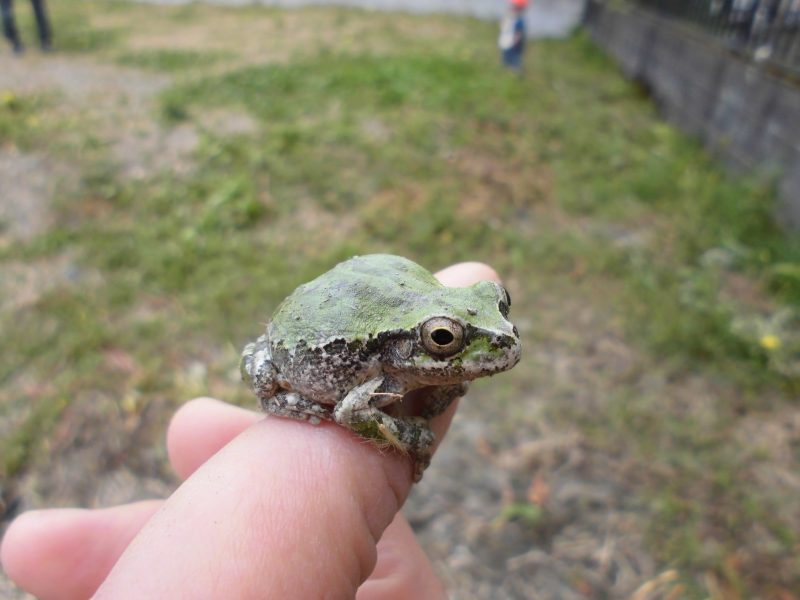 【小規模保育園：小田原園】散歩?