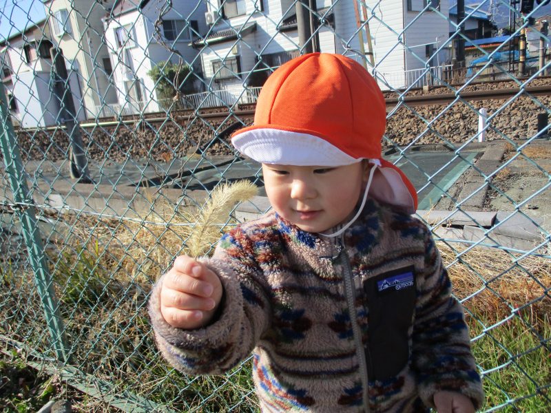 11月15日(月)の給食・おやつ