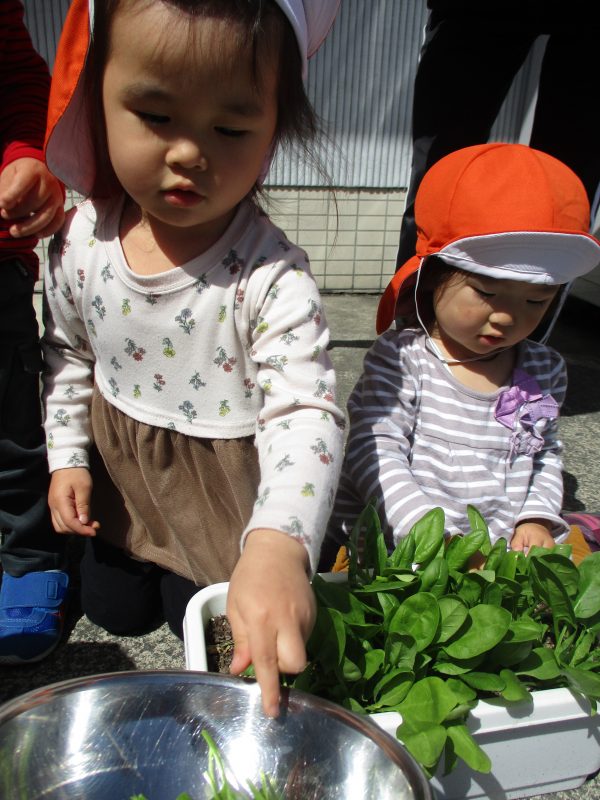 【小規模保育園:小田原園】元気いっぱいな子どもたち?