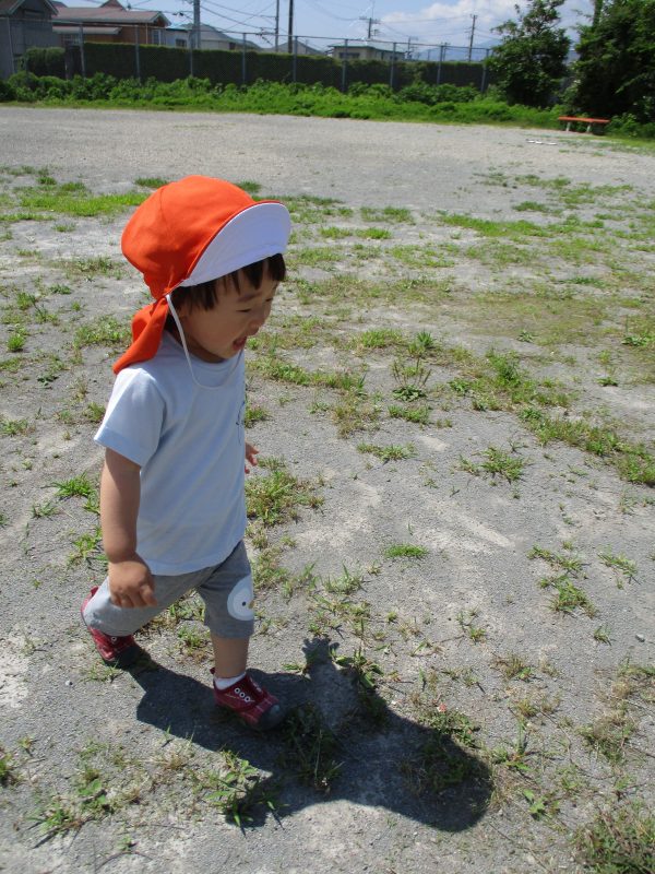 【小規模保育園：小田原園】みどりの広場?