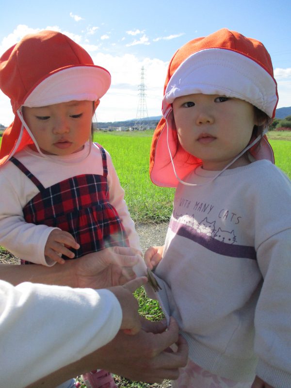 【小規模保育園:小田原園】絵本プログラム　ハロウィン！ハロウィン！?