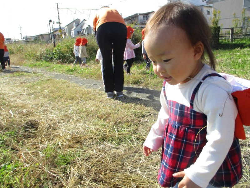 【小規模保育園：小田原園】お散歩日和?✨