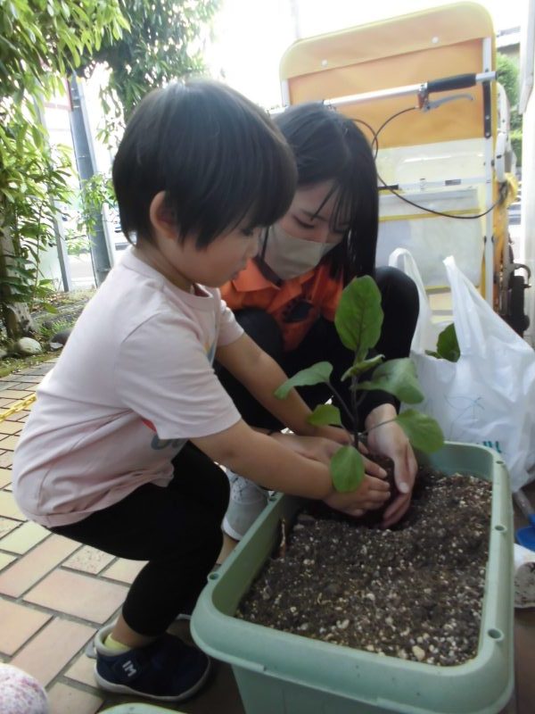 【小規模保育園:小田原園】りんご組のナスとお花🌼