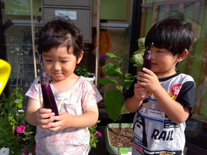 【小規模保育園:小田原園】7月28日　7月の誕生会＆ついに植栽収穫！