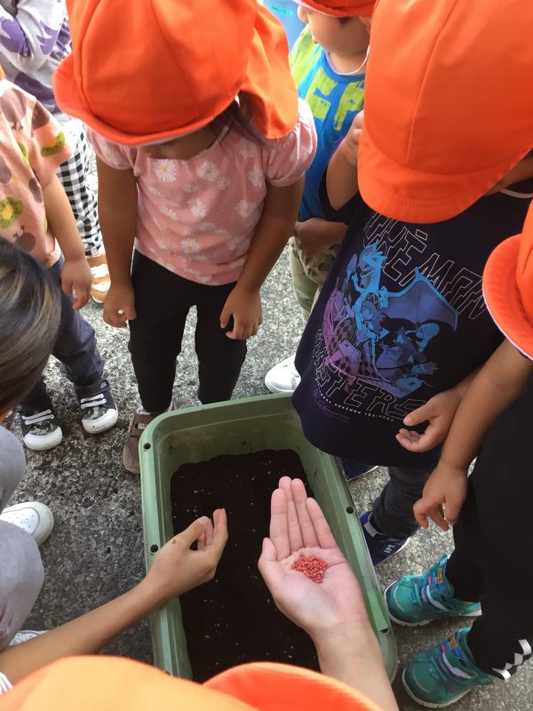 【小規模保育園:小田原園】植栽活動頑張る🌱