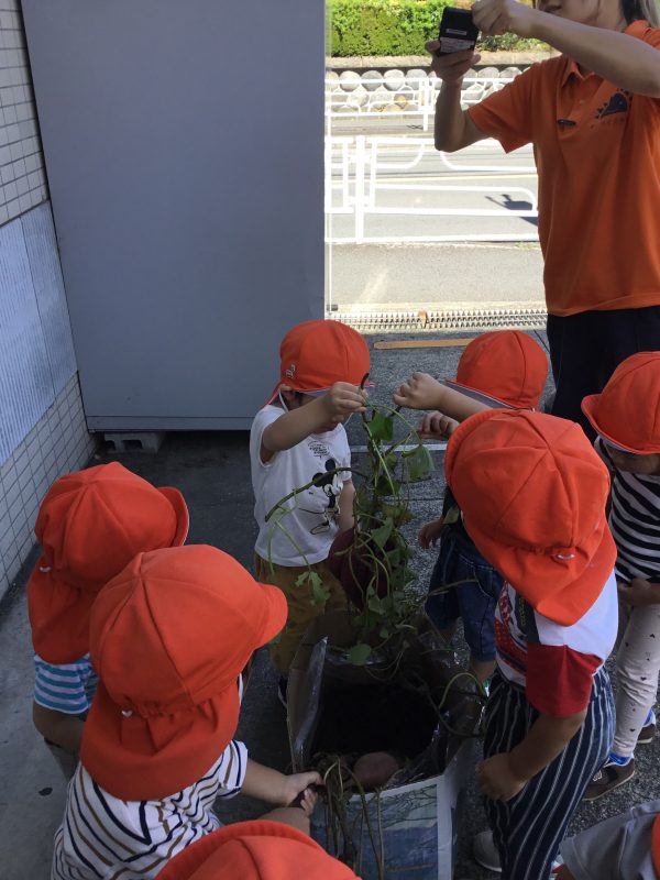 【小規模保育園:小田原園】10月の食育活動🍠