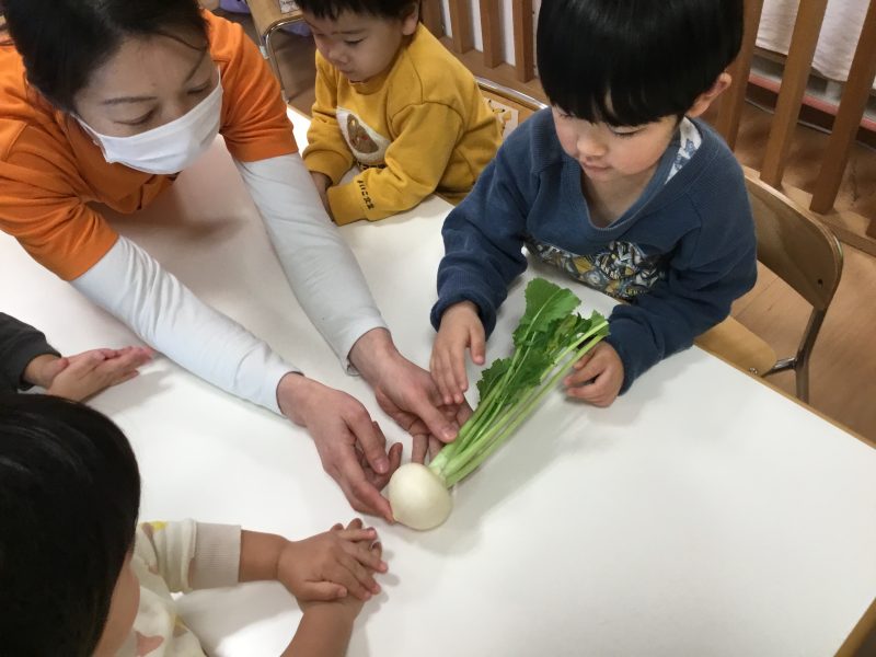 【小規模保育園:小田原園】食育活動「かぶ」🌟