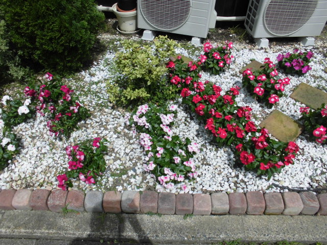 ★６月29日(金)の子どもたち★