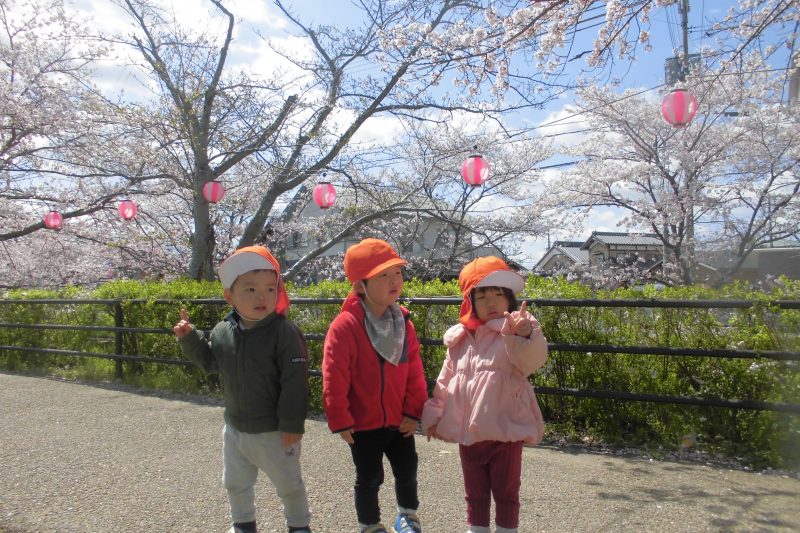 ★お花見?行ったよ★