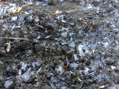 ☆サンライズキッズ保育園　今週の子どもたち☆