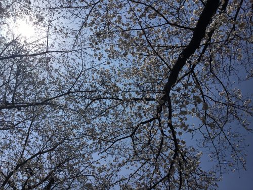 新しい旅立ち！！