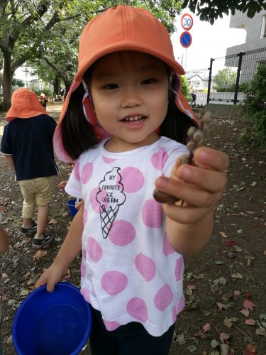 ★ちいさな秋みぃつけた！★