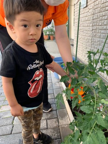 ★ムシムシ季節★