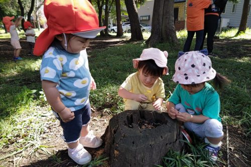 みんなで見つけたよ ✨