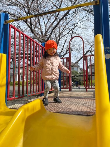 ?開花しました?