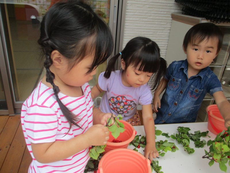 今週のサンライズの子どもたち