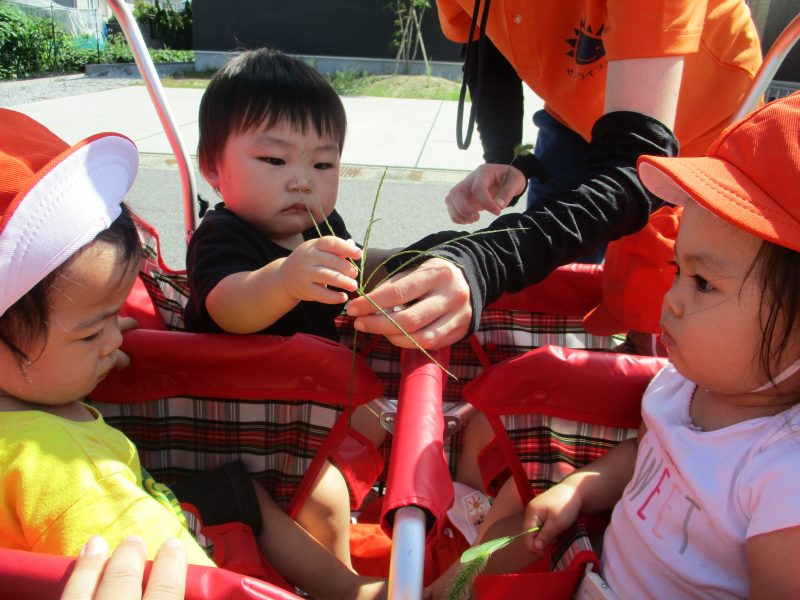 今週のサンライズの子どもたち