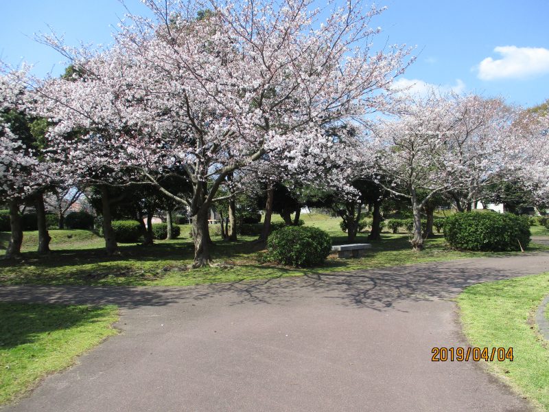 11月13日(金)の給食・おやつ