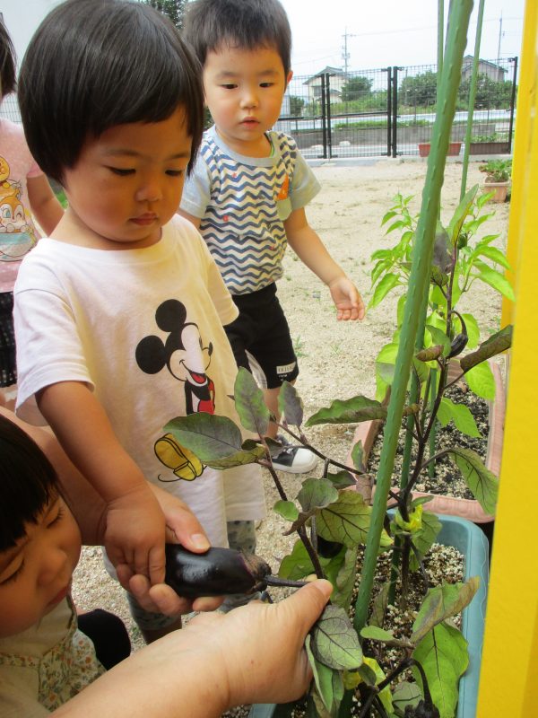 今週のサンライズの子どもたち☆彡