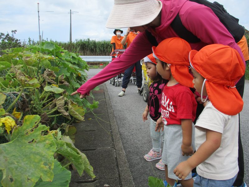 今週のサンライズの子ども達☆彡