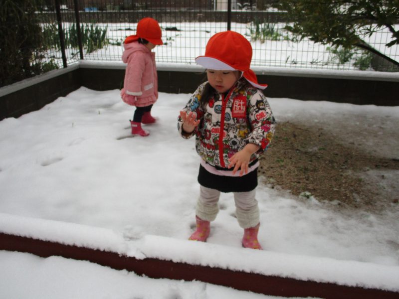 今週のサンライズの子どもたち☆彡