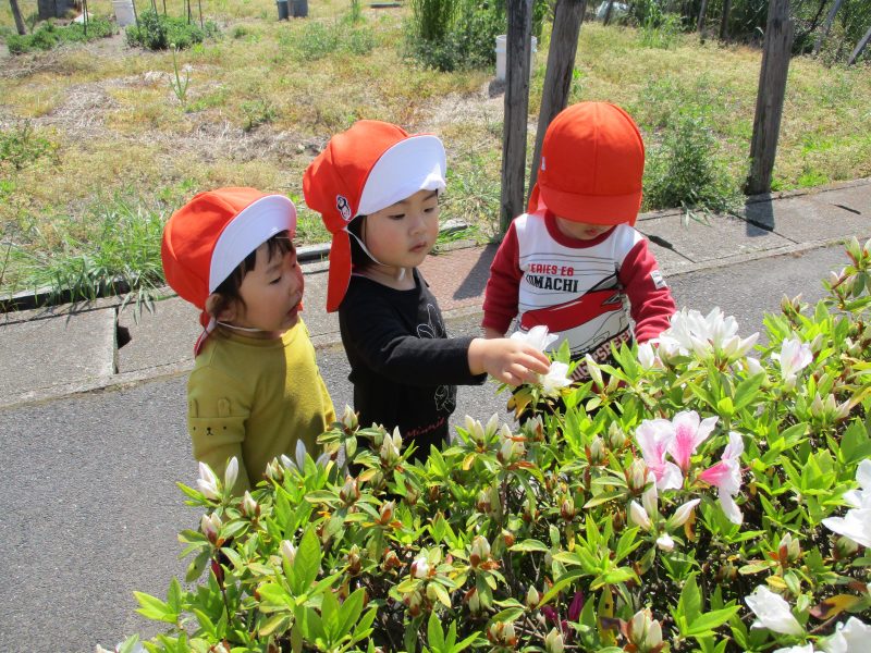 今週のサンライズの子どもたち☆彡