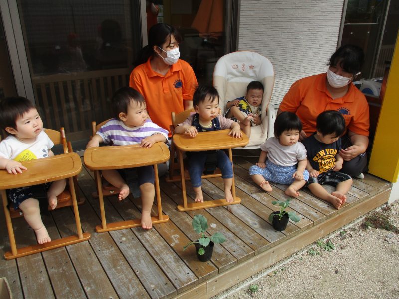 🥦野菜の苗植え🥦　📕絵本ブログ⑰📕