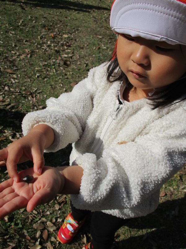 今週のサンライズの子どもたち☆彡　📚絵本ブログ㉜📚
