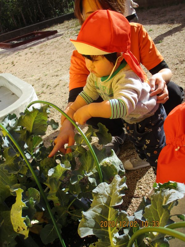 今週もとっても元気な子どもたちでした✨　📙絵本ブログ㊳📙