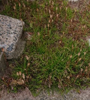 ✨成長を感じた１週間でした✨　?絵本ブログ65?