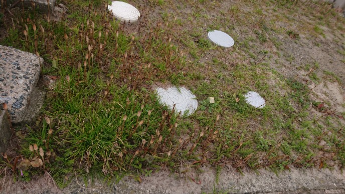 ６月１６日(金)の給食・おやつ