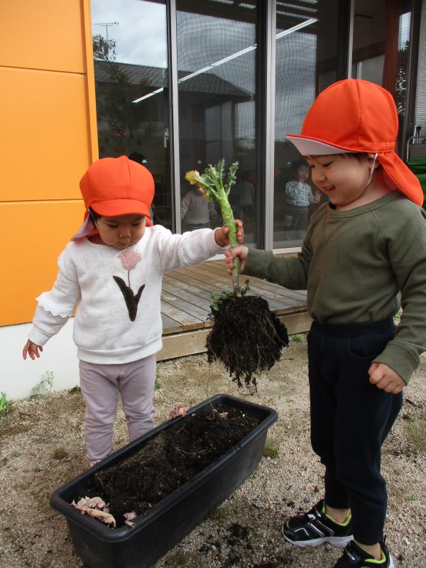 6月23日(金)の給食・おやつ