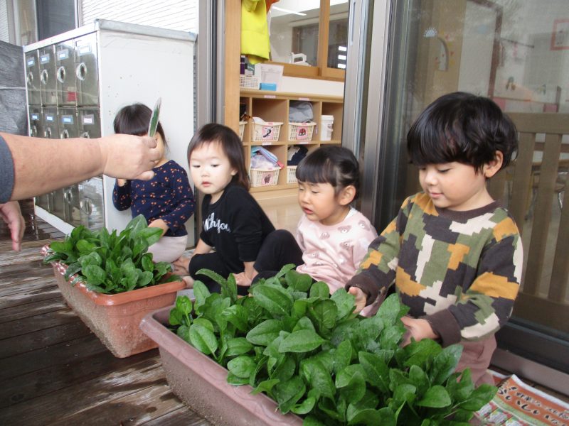 今週のいろいろ(●’◡’●)＋先週のちょっとおまけ♪(^∇^*)