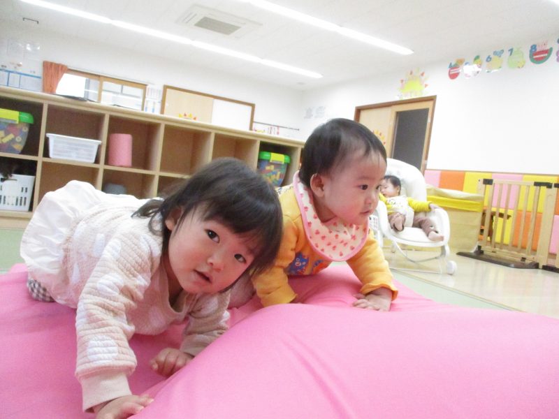 冷え込みました❄