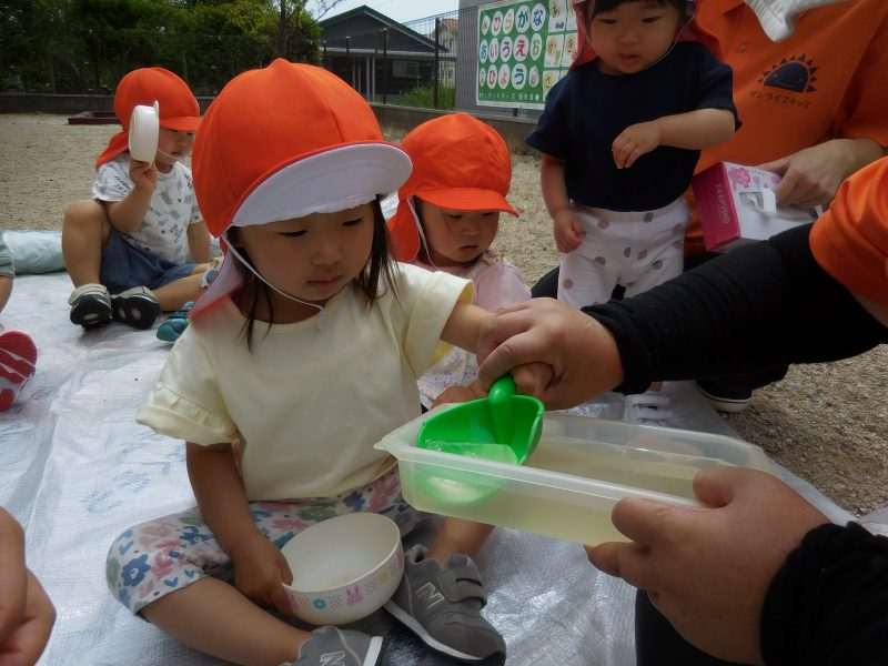梅雨入りしました☔️