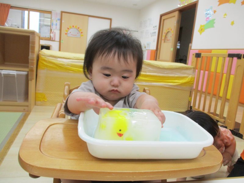 今週の境港園の子ども達😊