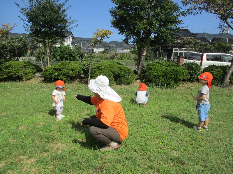 境港園　今週の出来事🌟